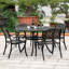 Chaise de patio d'extérieur 2 pièces en fonte d'aluminium pour le jardin, noir-1429543259