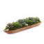 7" Artificial Succulent in Ship Bowl