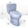 Drake® 1.28 GPF Auto Flush Elongated Floor Mounted 89 lbs Weight Two-Piece Toilet (Seat Included)