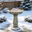 Bain d'oiseaux sur pied en béton, colonne extérieure – Abreuvoir pour oiseaux sur piédestal, pour terrasse, jardin ou intérieur. Décoration et rangement.