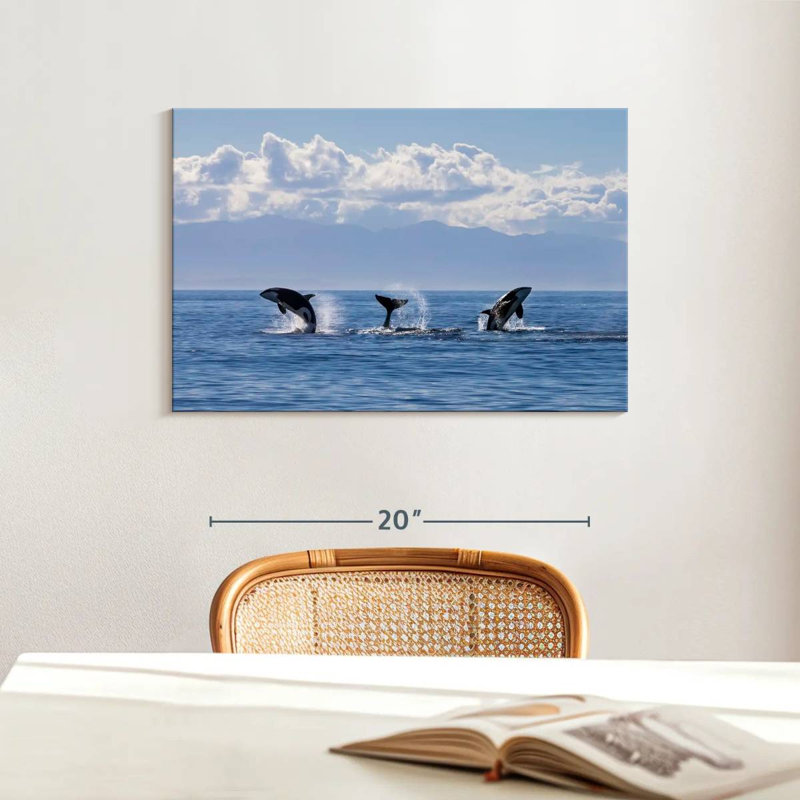 Brampt Lively Killer Whales, 16" H x 24" W