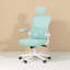 Mesh Office Chair with Headrest-536745909
