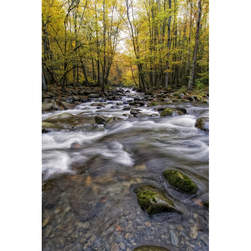 Roaring Waters II by Danny Head - Wrapped Canvas Print, 46cm H x 30cm W x 3.8cm D