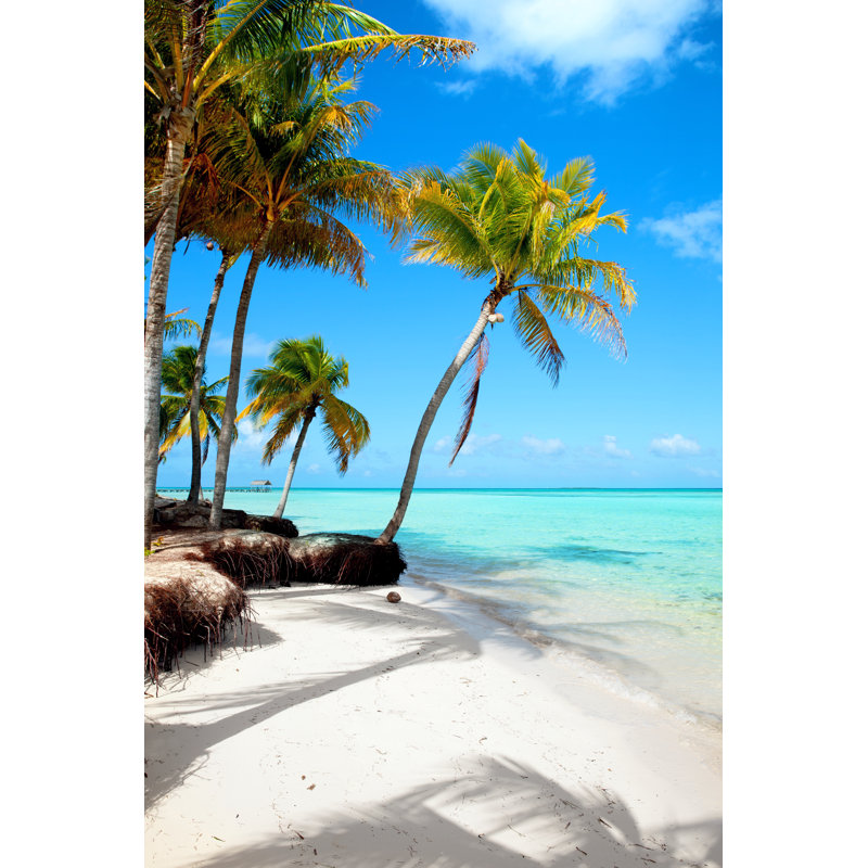 Tropical Summer Beach by Maxiphoto - Wrapped Canvas Print, 30cm H x 20cm W