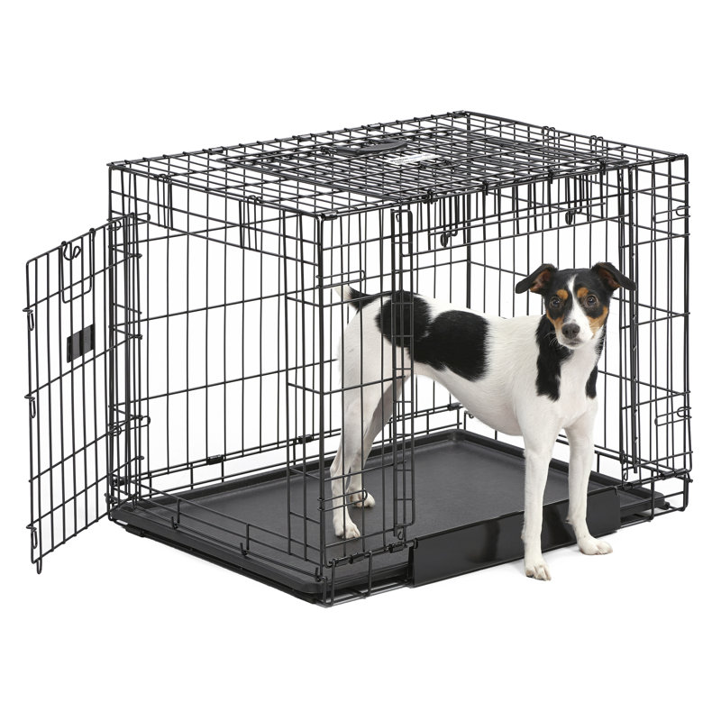Caisse pour animaux avec double porte Trainer, Très petit (H 22 po x l 20 po x L 31 po)