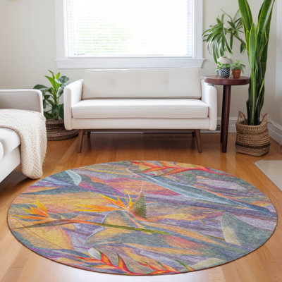 Premium Machine Washable Cerrito AMF209 Multi Rug