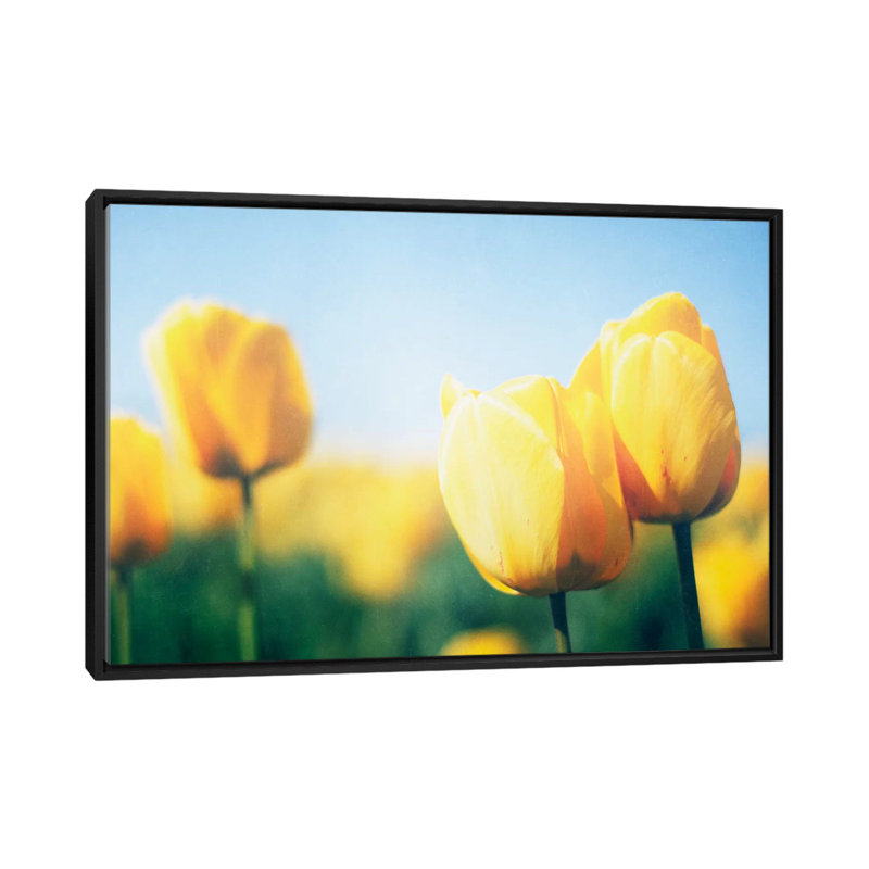 Sunny Blooms II, reproduction de photo sur toile tendue, H 18 po x l 26 po x P 1,5 po, Toile avec cadre noir, Pas de tapis