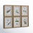 "Green Floral Botanical Study" - 6 Piece Art Set