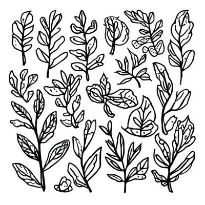 Black Botanical Leaves Double Sided Throw Pillows