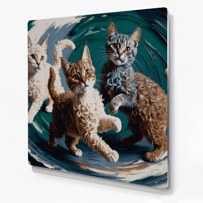 Cats Selkirk Rex Grey Metal Wall Art