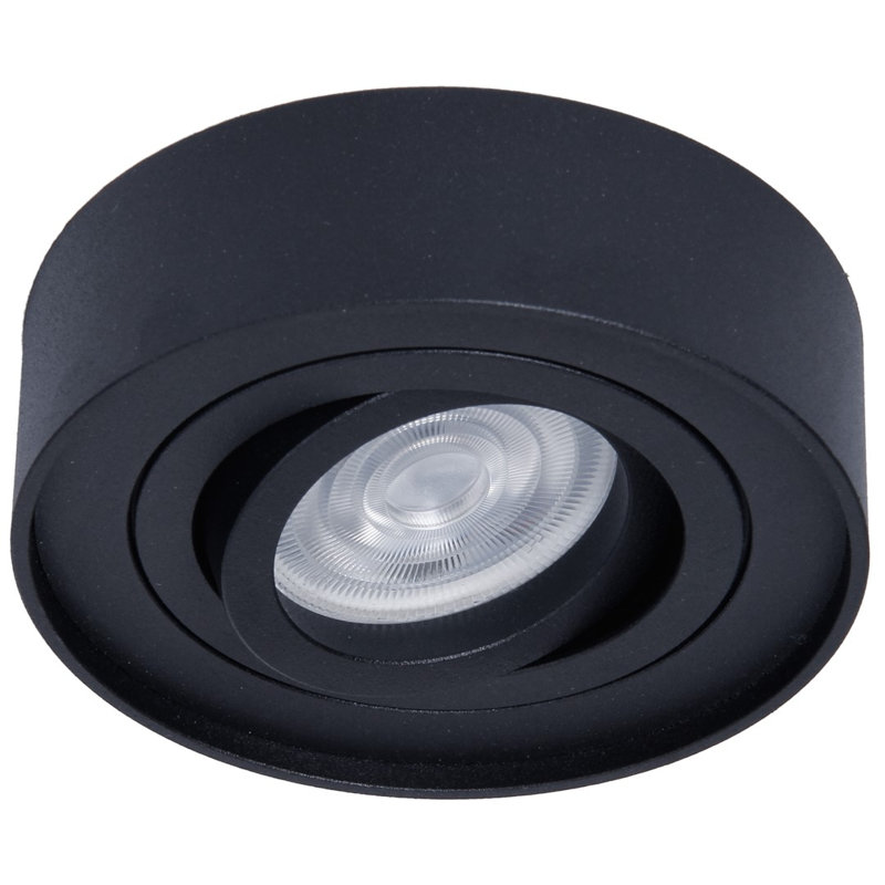Antonsen Ceiling Spotlight, Black