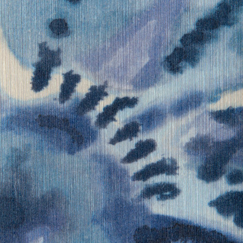 Rorschach Wp - Natural, Murex