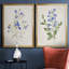«Blue Botanical I», ensemble de 2 reproductions d'art-2026522008-2026522009-2026522010