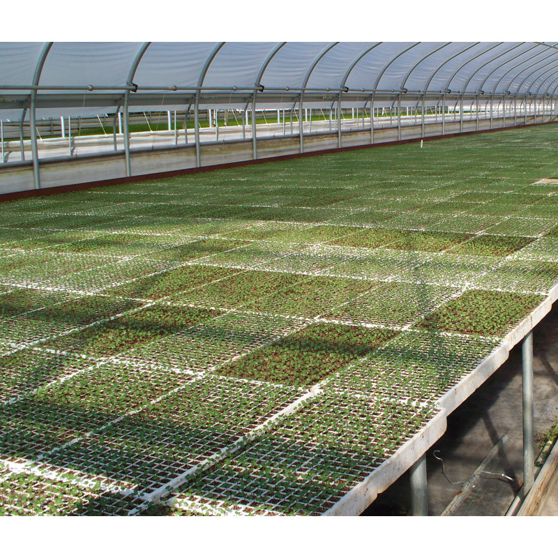 Riverstone Industries Hydroponic Unit Flowers