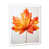 Cadre simple blanc