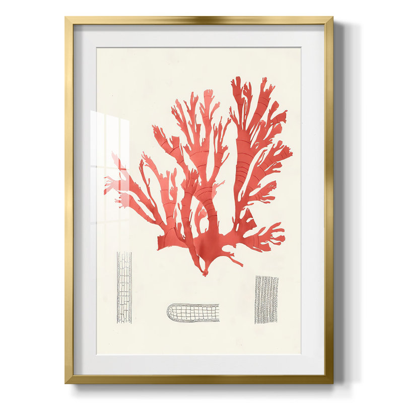 Watercolor Metric I, reproduction encadrée, Papier avec cadre doré, Blanc