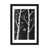 Black Framed Paper is unavailable