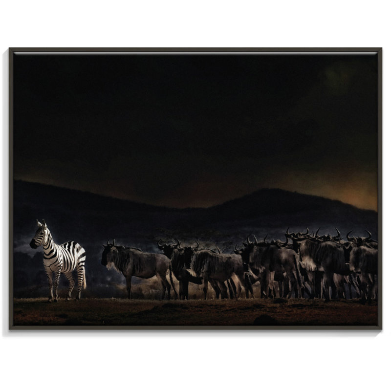 Print on Canvas, Black, 41cm H x 51cm W