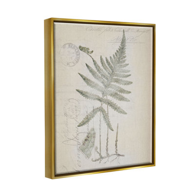 Au-798-Framed " Vintage Post Card Fern Leaf " by Tina Higgins Designs, Inc.