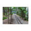 'Tracks Train' Photographic Print on Wrapped Canvas-30357143