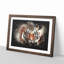 Tiger - Framed Print-56863952-56863953