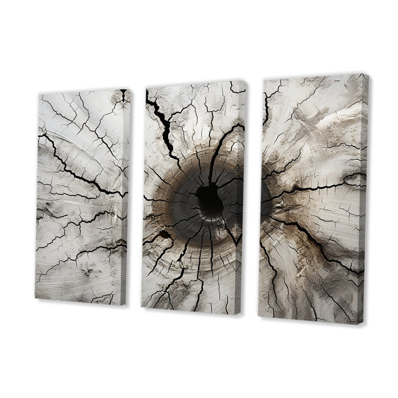 «Tree Cut Stump Beauty I - Tree Redwood», ensemble de reproduction d'art mural, Toile tendue, H 40 po x l 60 po x P 1 po
