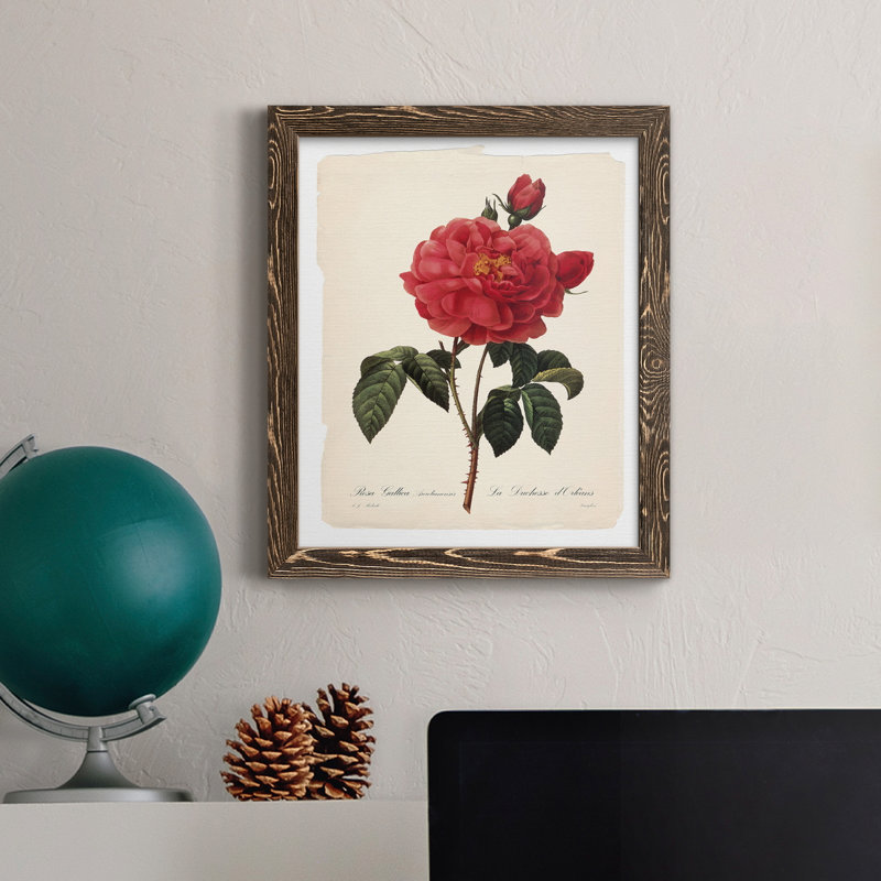 Red Botanical III - cadre photo, impression sur toile, H 44 po x l 31 po x P 1 po, Toile avec cadre noyer