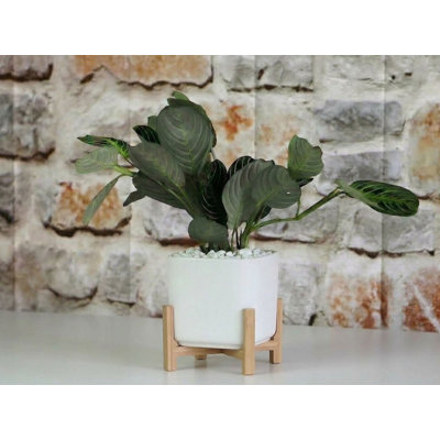 Pot de fleurs miniature en céramique émaillée, en forme de cube avec soucoupe intégrée (lot de 6) - Jarin extérieur