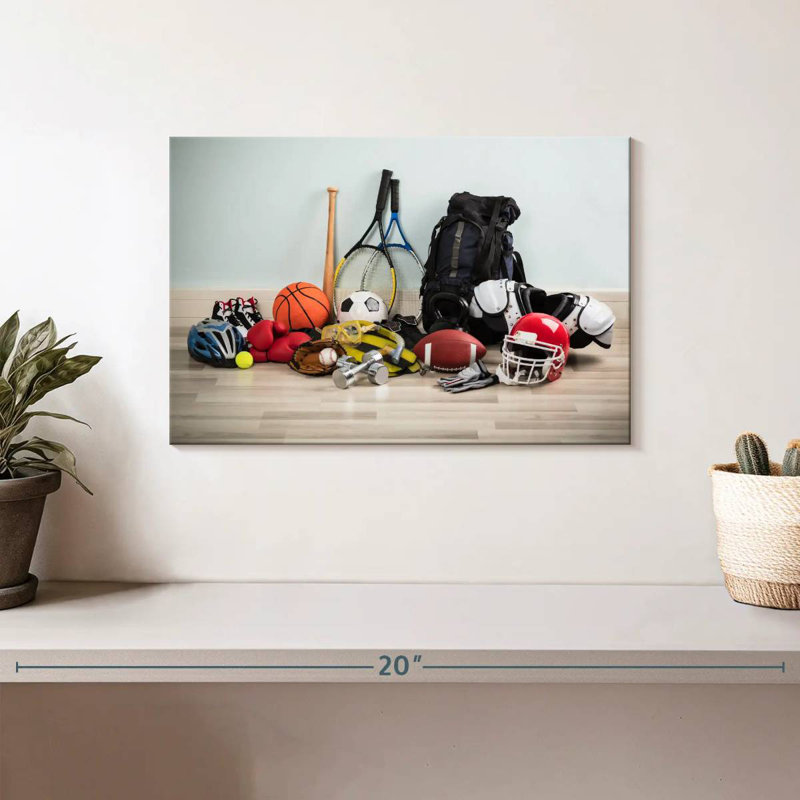 Sireci Assorted Sports Gear, 20" H x 30" W