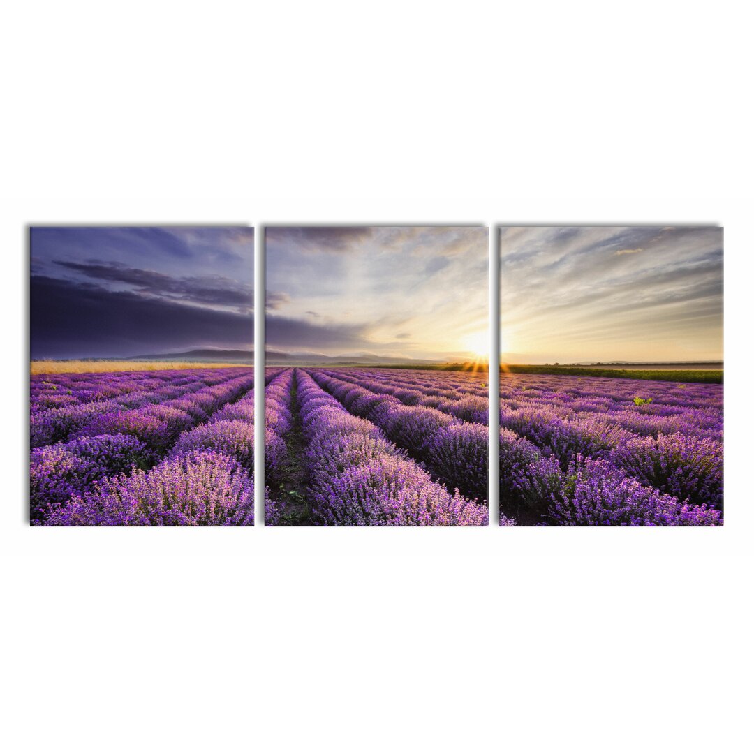 3-tlg. Leinwandbilder-Set Traumhafte Lavendel Provence