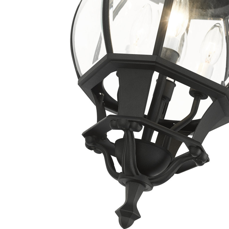 Aalena 4 - Light Outdoor Hanging Lantern, Textured Black