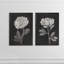 «Black and White Flowers III», ensemble de 2 reproductions d'art encadrées-1201688119-1201688072-1201688074
