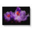 Purple Crocus Flower In Abstract - Wrapped Canvas-55341843