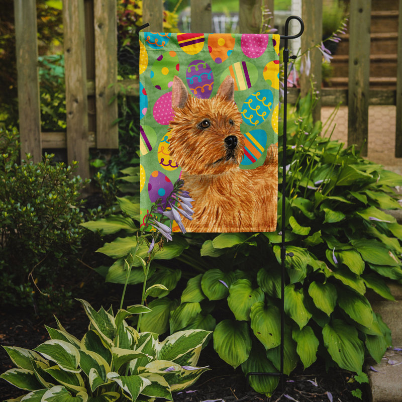 Drapeau de jardin Atara, Norwich Terrier