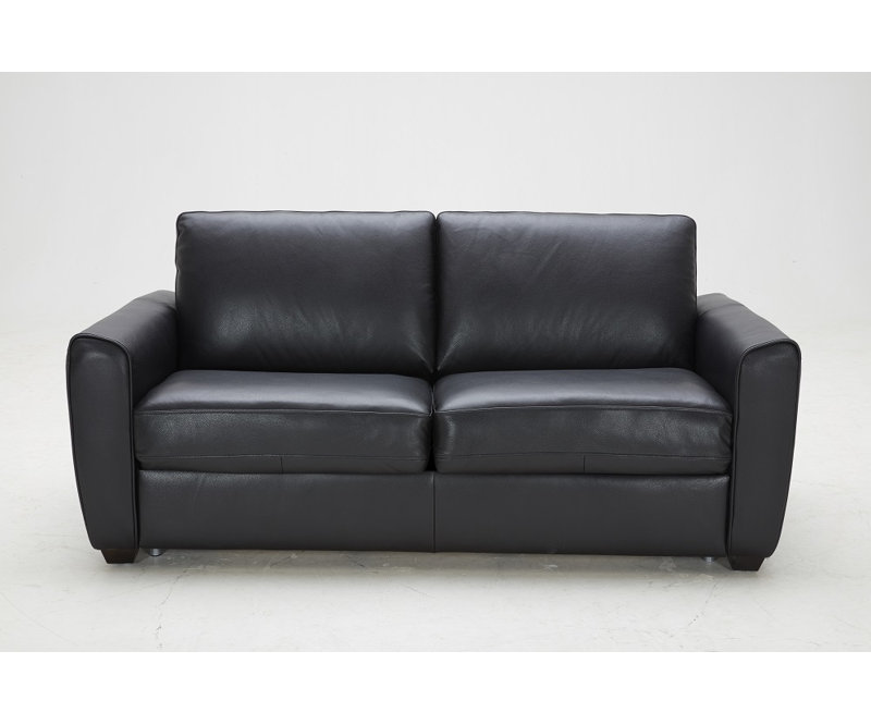 Lenahan 74.8'' Leather Sleeper Sofa