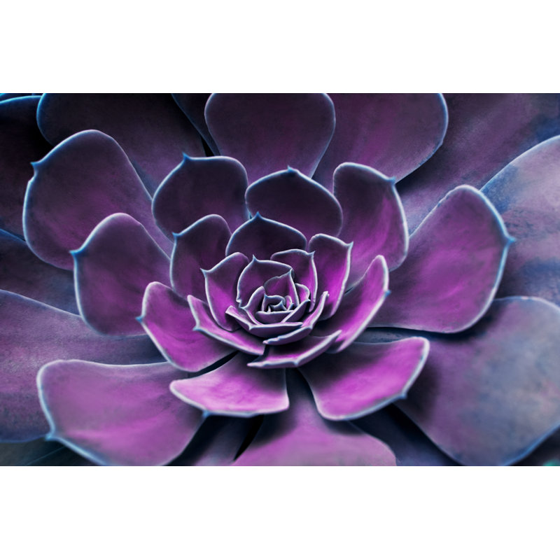 Geometrically Shaped Flower by YakubovAlim - Wrapped Canvas Print, 30cm H x 46cm W x 3.8cm D