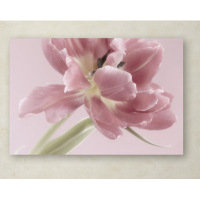« doux rose tulipe », reproduction de photo sur toile tendue