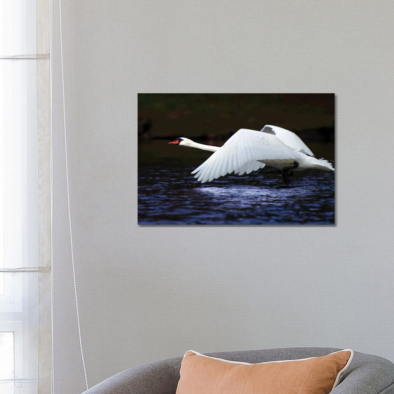 Blue Flight by David Gardiner - Wrapped Canvas Print, 45.72cm H x 66.04cm W