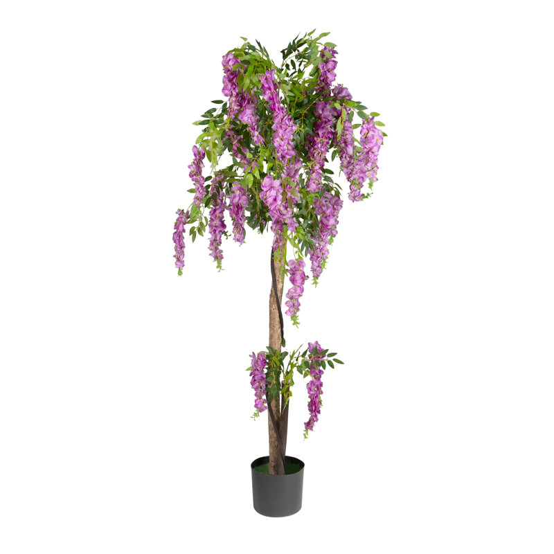 170cm Plant