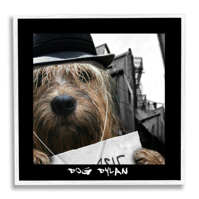 Chien Dylan, musicien amusant portant un chapeau, art urbain texturé, ensemble de giclées par Noah Bay