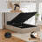 Modern Wingback Linen Upholstered Platform Bed with Gas Lift Storage, Queen, Mink Linen-460118713-460118715