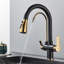 Belfry Kitchen Creger Pull Out Kitchen Faucet