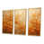 Gold Floater Framed