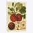 Toile tendue
