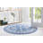 Oriental Indoor Rug-527535115