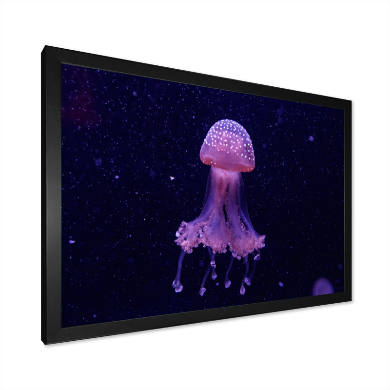 Macro d'une belle méduse Phyllorhiza - photographie sur toile, H 34 po x l 44 po, Cadre photo noir