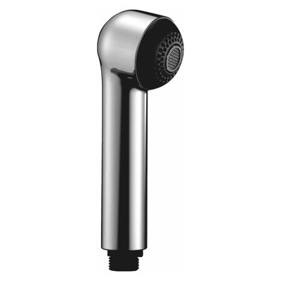 Saxon Kitchen Sink Sprayer