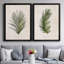 Palm Botanical I - ensemble de 2 photographies sur toile-1425392437-1425392431-1350425248