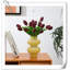 Tulip Arrangement-1226906767