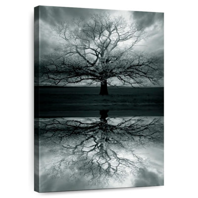 Hitzel Haunted Tree Reflection